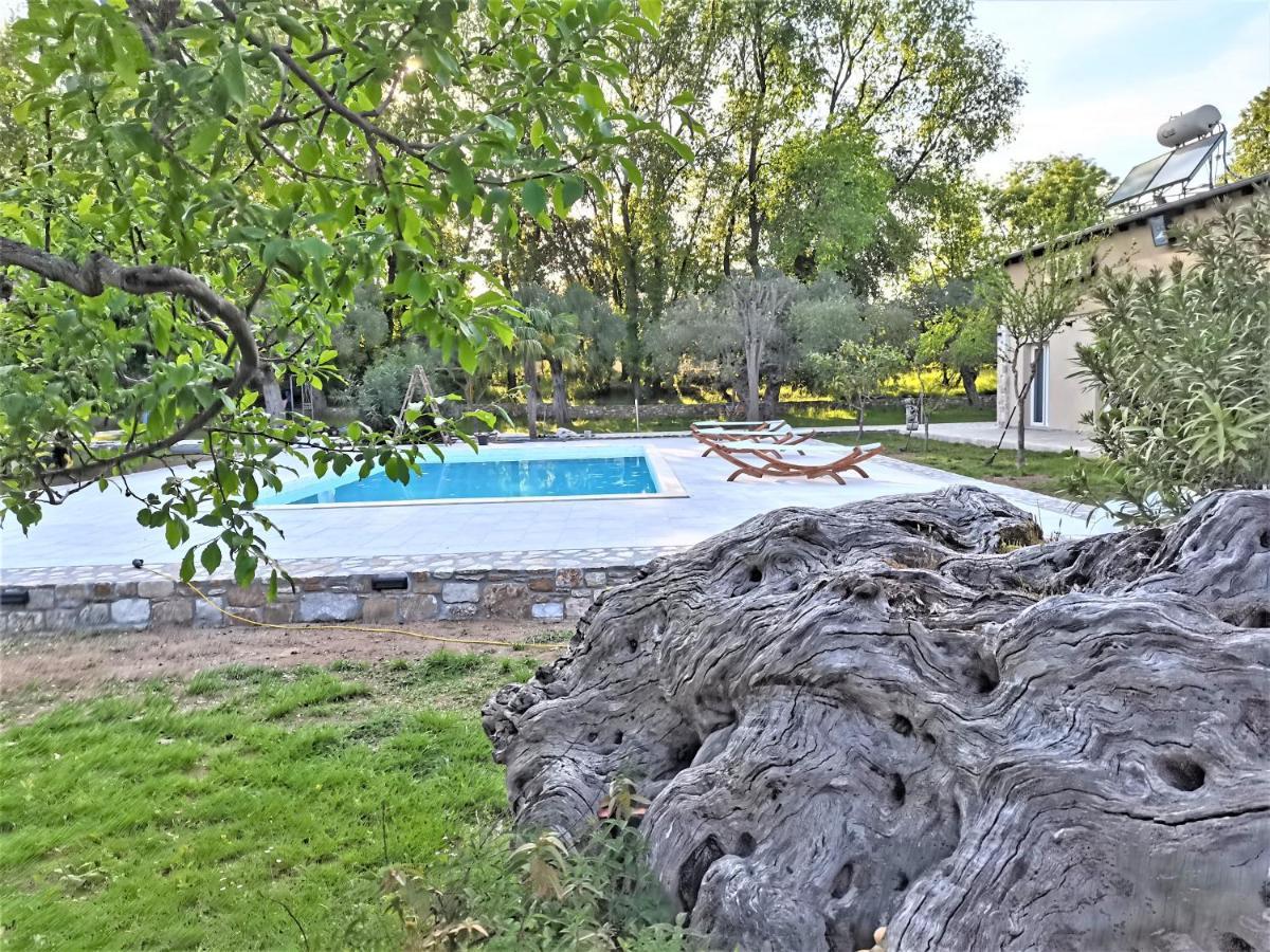 Natura Bungalows-Villa Thasos Extérieur photo